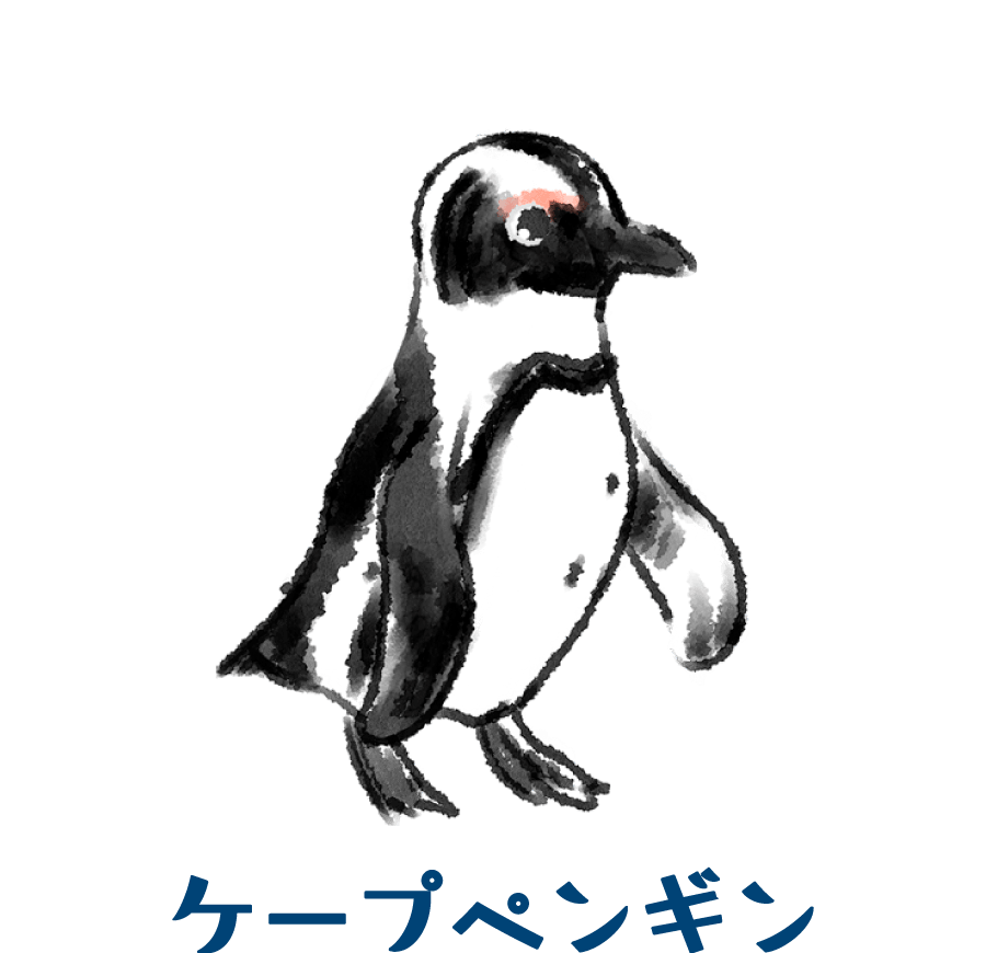 長崎ペンギン水族館 公式